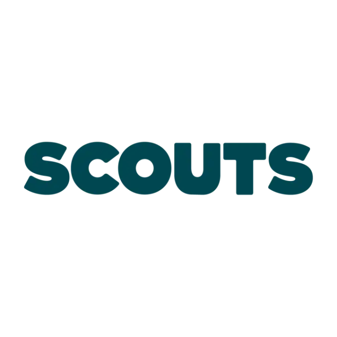 Logo for Scouts Section